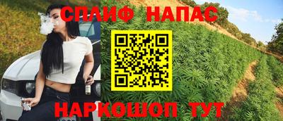 гашик Бузулук