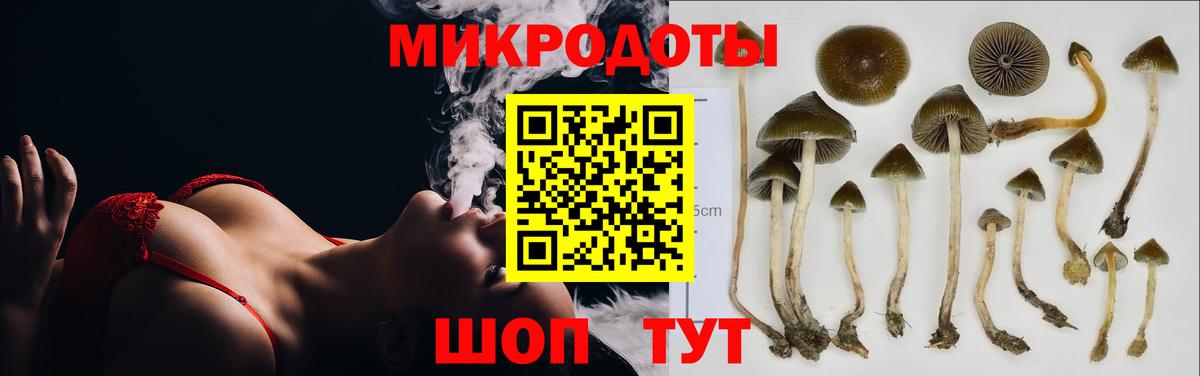 Сланцы  Галлюциногенные грибы прущие грибы  купить наркотик  Вход с VPN  Галлюциногенные грибы GOLDEN TEACHER 