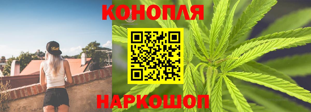 Канабис AK-47  Вход с VPN  Каннабис семена  Сланцы  Каннабис сатива  Каннабис SATIVA & INDICA 